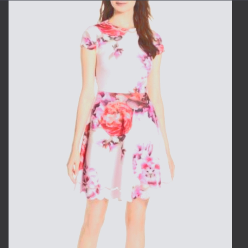 Ted Baker Dress size 2 ( 6 US )